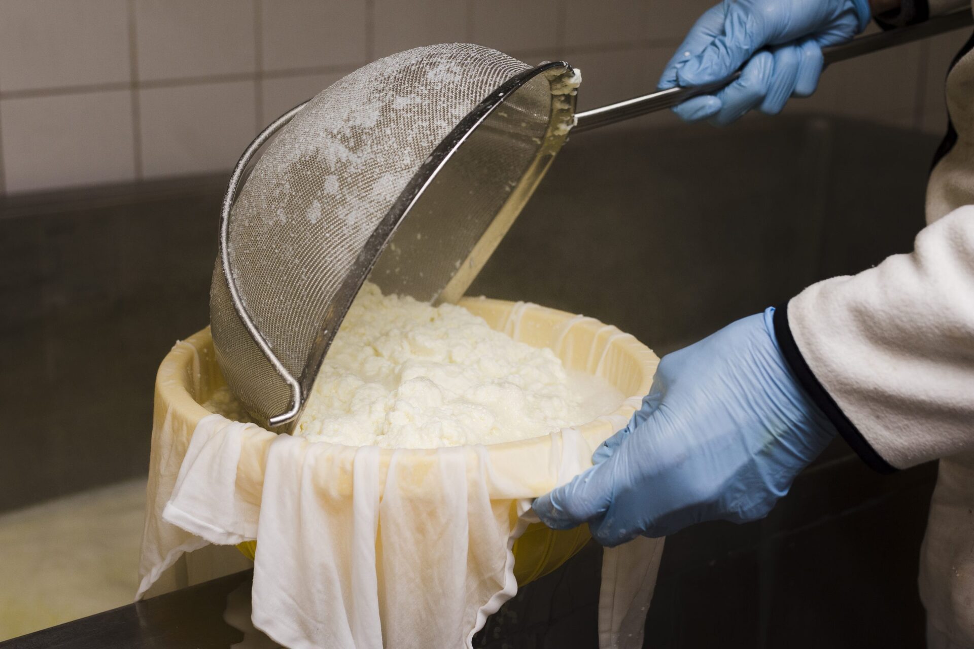 Award in Cheese Production