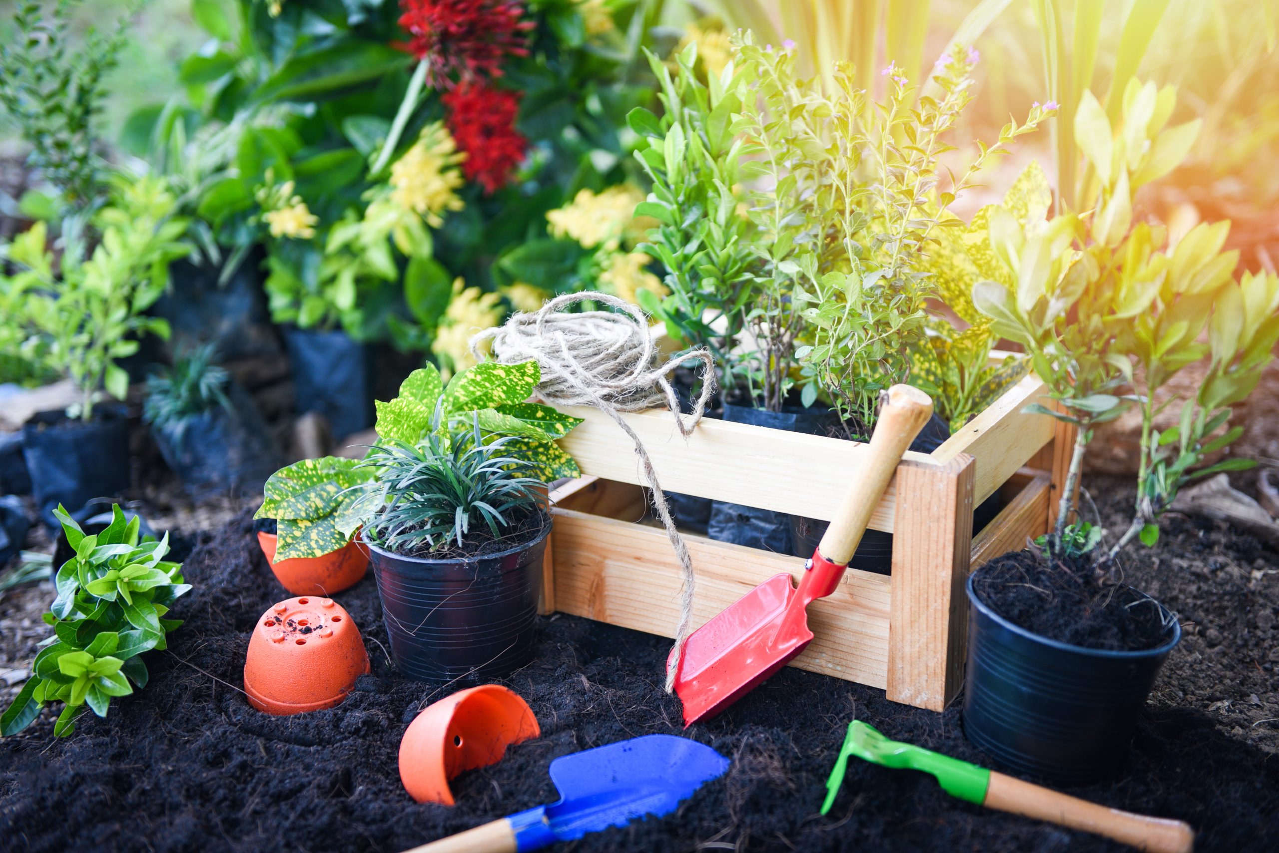 Gardening – Advanced